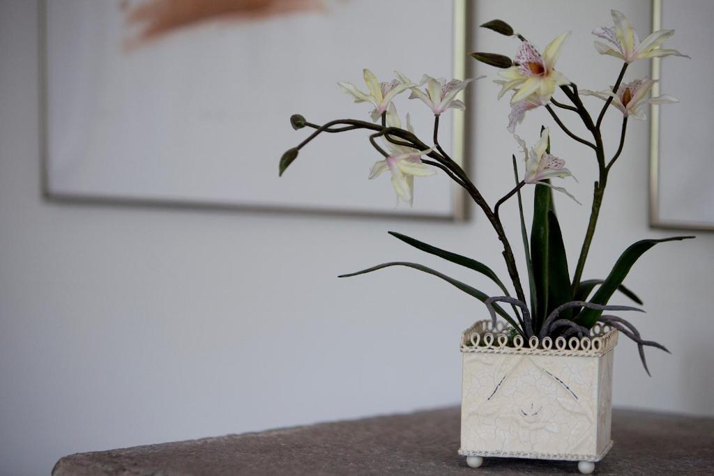 Appartamento Tucking Mill View- Self Catering Bath Esterno foto
